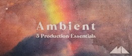 Ambient: 5 Production Essentials