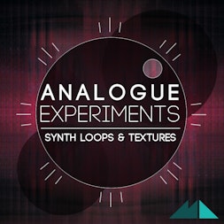 Analogue Experiments