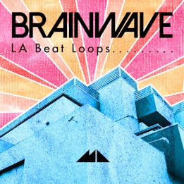 Brainwave