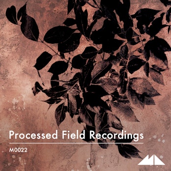 Processed Field Recordings