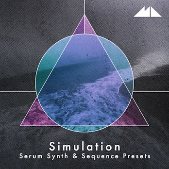 Simulation