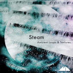 Steam